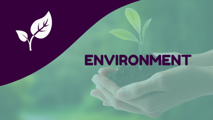 Training courses: Environment